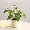 Realistic Artificial Plants Bonsai Elegant False Tropical Plants  Home Decor