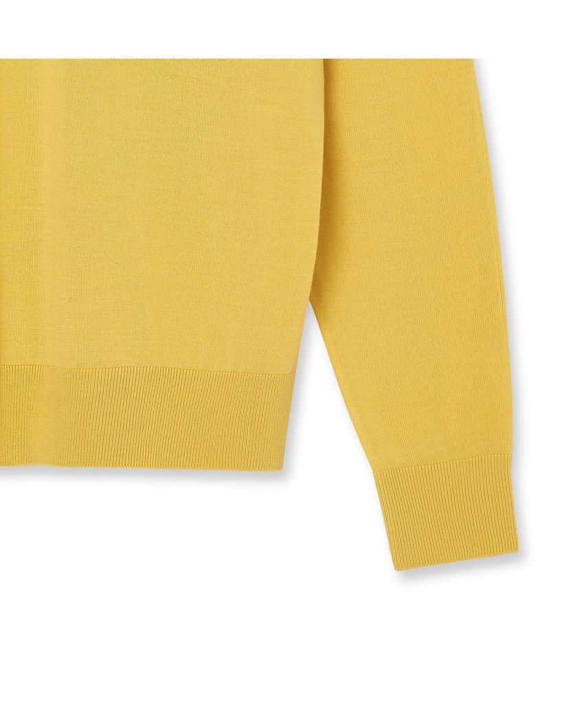 IOLO Silk Blended V-Neck Sweater_Yellow