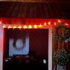 Chili Pepper Light LED Light Festive Battery-operated Different Light Modes High Brightness New Year Decoration Light String