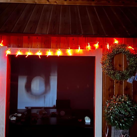 Chili Pepper Light LED Light Festive Battery-operated Different Light Modes High Brightness New Year Decoration Light String