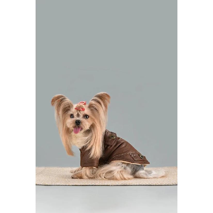 10PC/Lot Fur Collar Dog Leather Jacket Windproof Warm Small Dog Coat Winter Dog Clothes Puppy Clothing