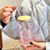 Tazza in vetro da 500 ml con fiocco carino, bicchiere, bottiglia d'acqua a forma di barattolo di Mason con coperchi, cannuccia, tazze da caffè, regalo per feste per tazza da succo per caffè freddo