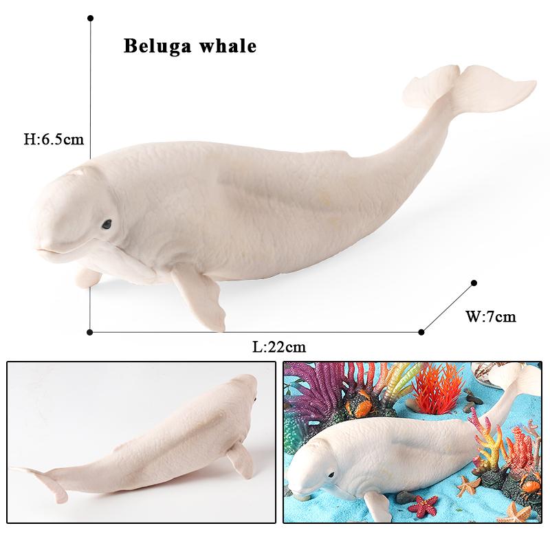 Oenux New Sea Life Seal Sea Lion Orcas Blue Whale Shark Megalodon Dolphin Aquarium Ocean Marine Animals Model Kids Toy Gift