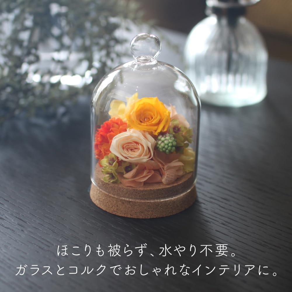 Konservierte Blume Petit Dome, Handgefertigte Materialien, Getrocknete Blumen, Geschenke, Feiern, Jahrestage, Geburtstage, Blumenarrangements, Blumengeschenke, Neve