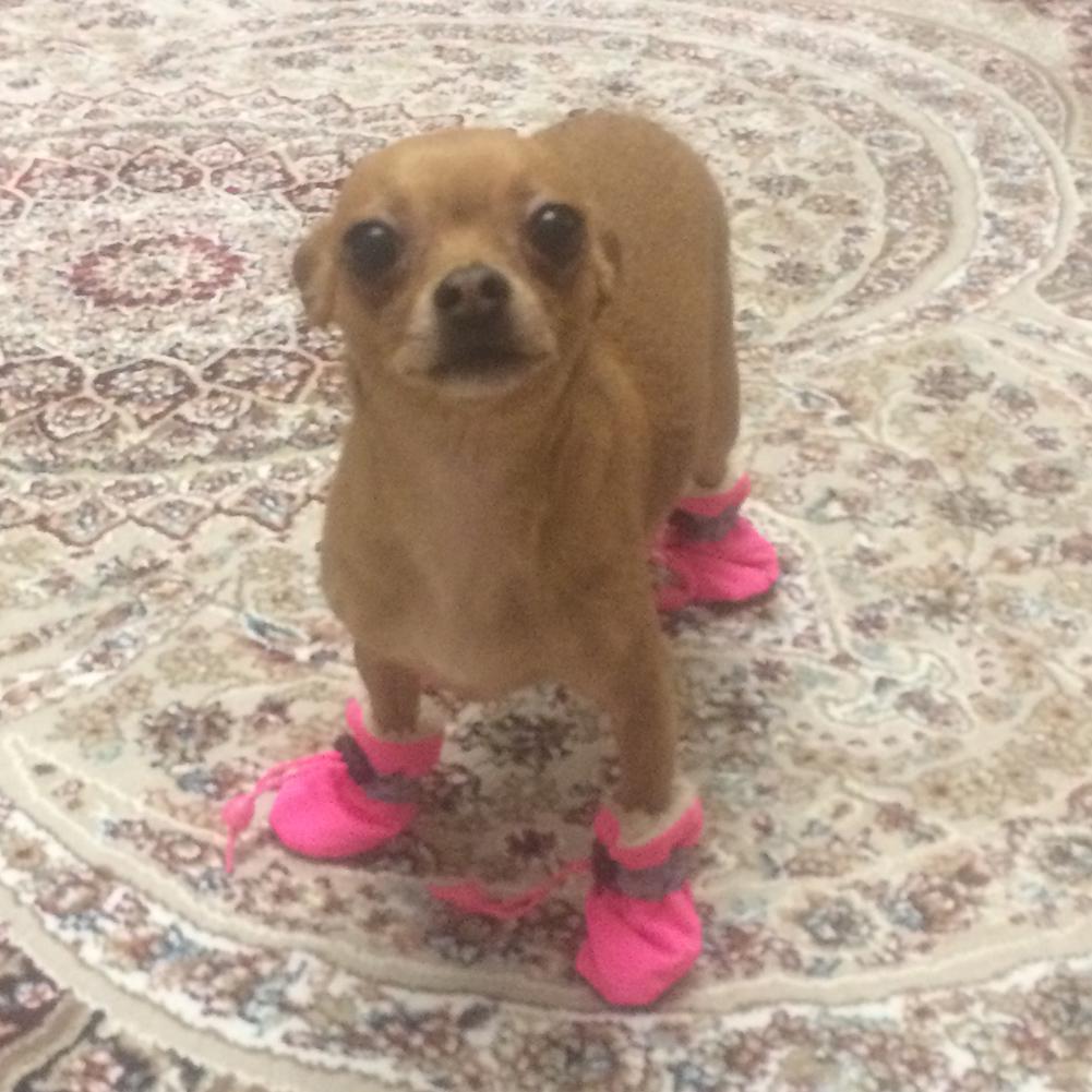 Waterproof Shoes Socks Pet Non-slip Soft Rain Boots Footwear Cover