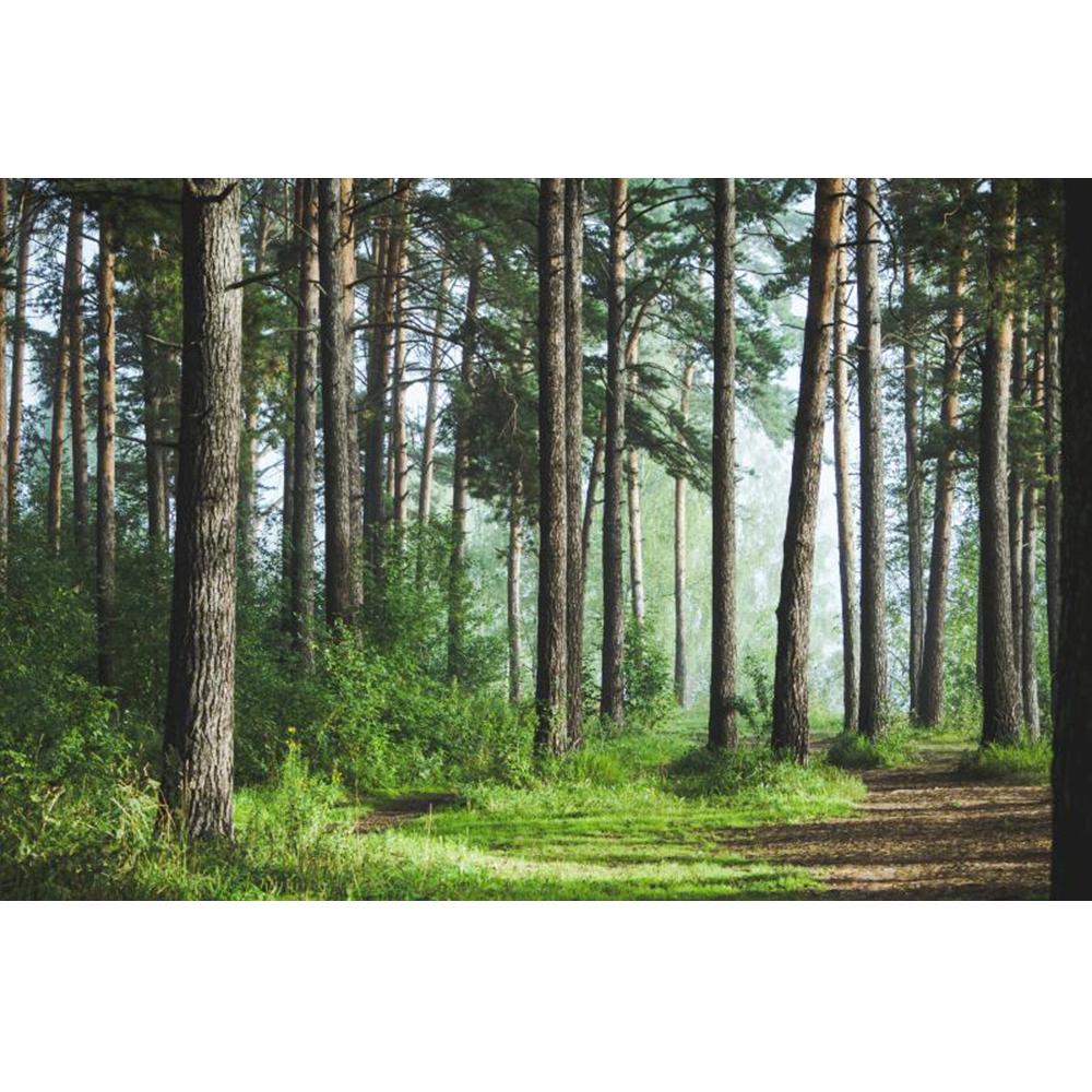 Forest Wallpaper Fresh Green Tree And Road Wall Mural Living Room Bedroom Kids Room Landscape Wall Murals