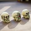 Death-themed Character Skull Resin Craft Skull Model Ornament for Aquarium Landscaping and Halloween Decoration Psychological Sand Table