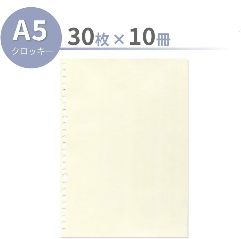 Maruman Loose-Leaf Sketchpad, A5, Plain, 30 Sheets, 10-Pack, L1336AX10