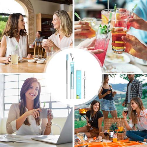 Collapsible Stainless Steel Straw, Reusable Metal Straw, Vista Metal Collapsible Straw | Telescoping Travel Straw with Cleaning Brush for Picnics, Out