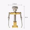 Nail Straighten Clip Ingrown Toenail Corrector Foot Nail Care Stainless Steel Pedicure Tools Treatment Health Care Toe Corrector