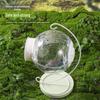 Transparent Outdoor Bird Cage for Parrots and Other Birds