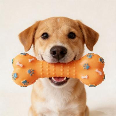 Köpek – Köpek oyuncakları