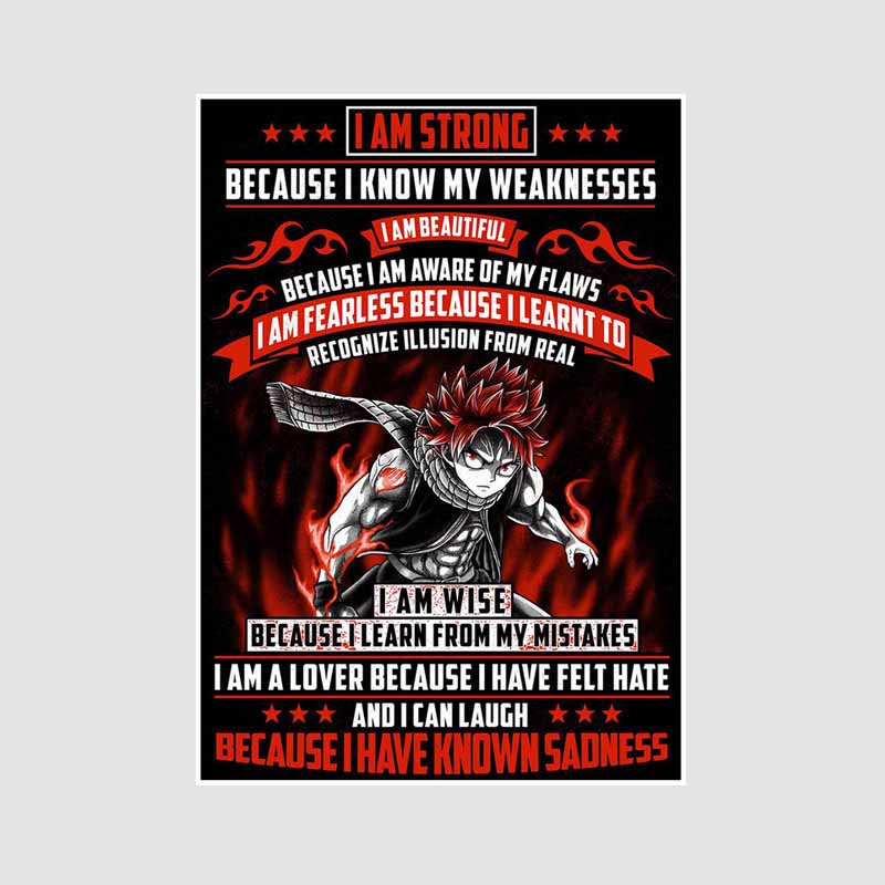 Japanische klassische Anime-Poster und Drucke, Wanddekoration, Retro-Weißpapier, Fairy Tail-Poster, Kunstgemälde, Wohnzimmer, Heimdekoration, Wandbild