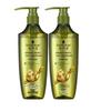 Schwarzkopf Ginger Essence Oil Control Shampoo