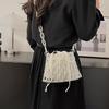 Acrylic Woven Pearl Chain Crossbody Bag For Women Spring Fashion Cute Butterfly Design
