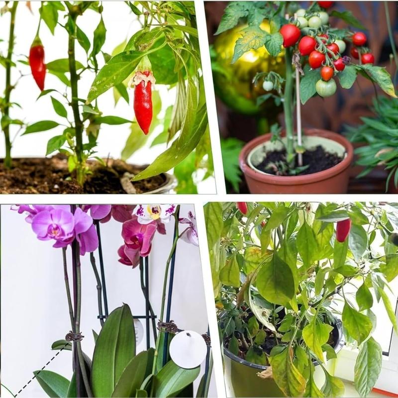 15Pcs 40cm Plant Support Stakes with 30Pcs Clips Orchid Bendable Plant Sticks
