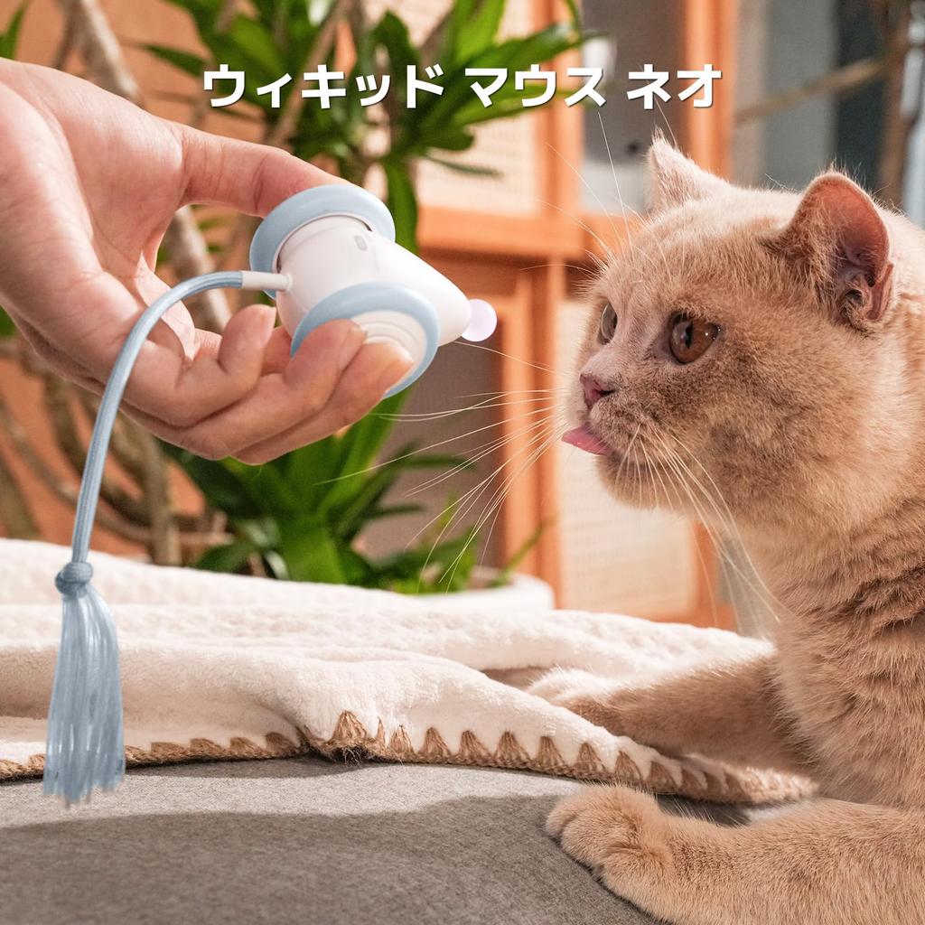 Cheerble Cat Toy with Rope Tail and Illuminated Nose Button, 2 Modes, 200mAh Type-C Rechargeable, Fast Play, Solitaire Play, Stress Reliever, Blue