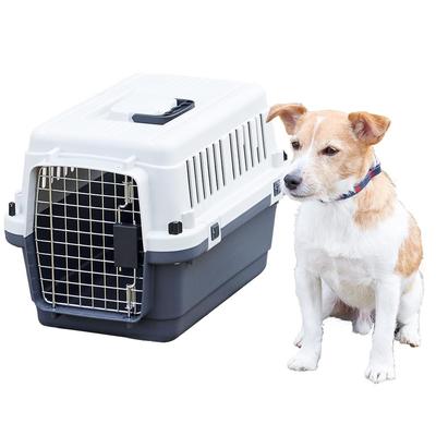 Honden – Hondenhuizen, hondenhokken, paddocks