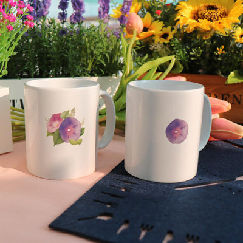 tb974-Design Mug 2p-Morning Glory
