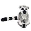 Take Off Lemur S Ring-tailed