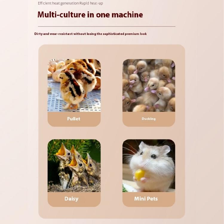 Piastra riscaldante efficiente per pulcini per esposizioni nei negozi di animali e incubatori domestici Piastra termica per pollame