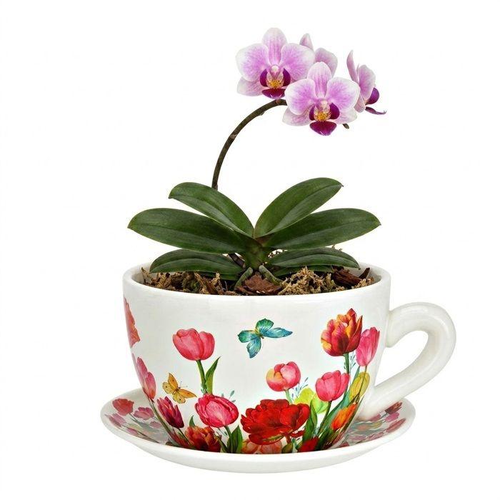 Pot de fleurs - EDEN - Jolies tulipes - Céramique - Rouge - 23 x 25 x 14 cm
