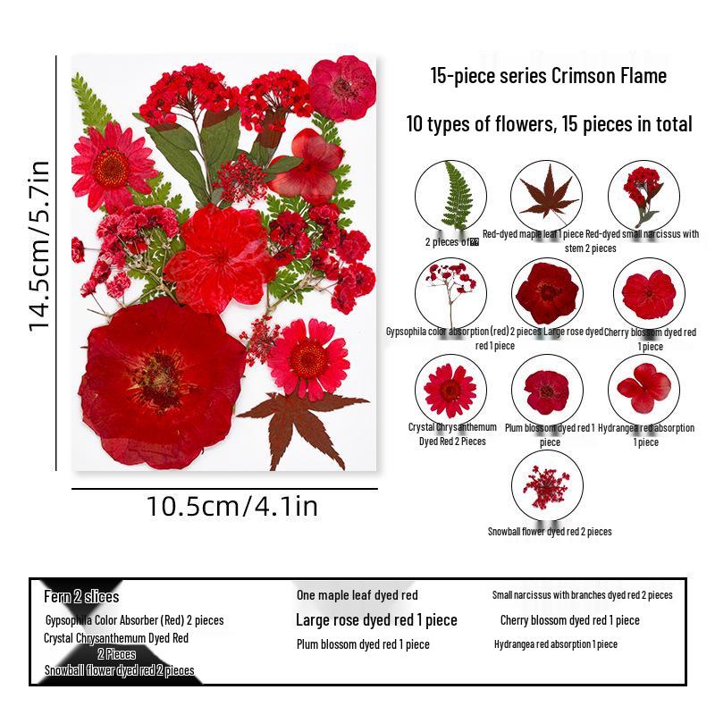 DIY Dried Flower Specimen Sticker Set for Kids: Handmade Pressed Flower Frames & Resin Bookmark Craft Kit