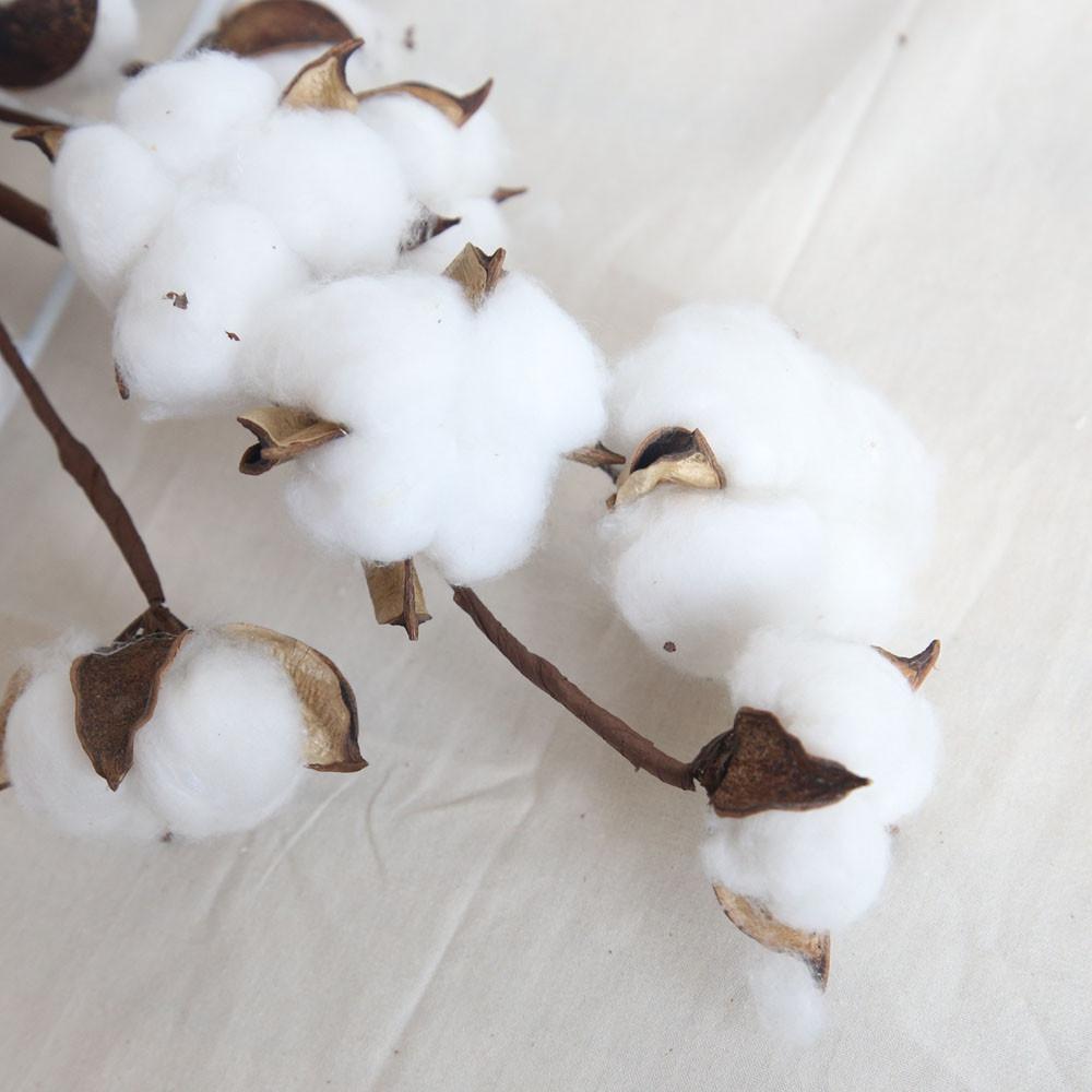 New Naturally Dried Cotton Stems Artificial Flower Filler Floral Decor Artificial Flowers Valentines Day