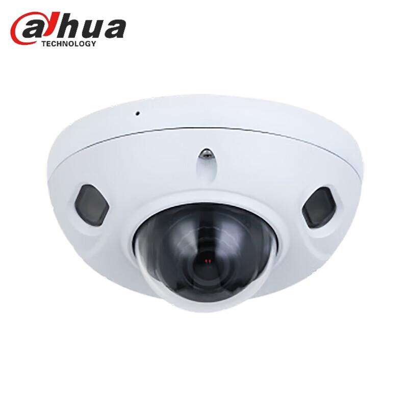 

Dahua 2MP HD Network Sound & Light Alarm Dome Camera