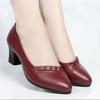 High Quality Thick Heeled Single Shoes Women's 2025 New High Heeled Shallow Mouth Comfortable Genuine Leather Office Women Shoes