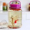 Multi-Purpose Sparkling Wine Bottle: Empty Household Jar for Sealing, Pickling, and Storage