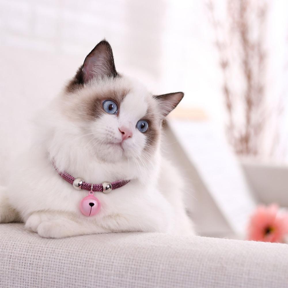 Adjustable 20-38cm Length Pet Necklace W/ Extension Chain Nylon Pets Collar for Pets