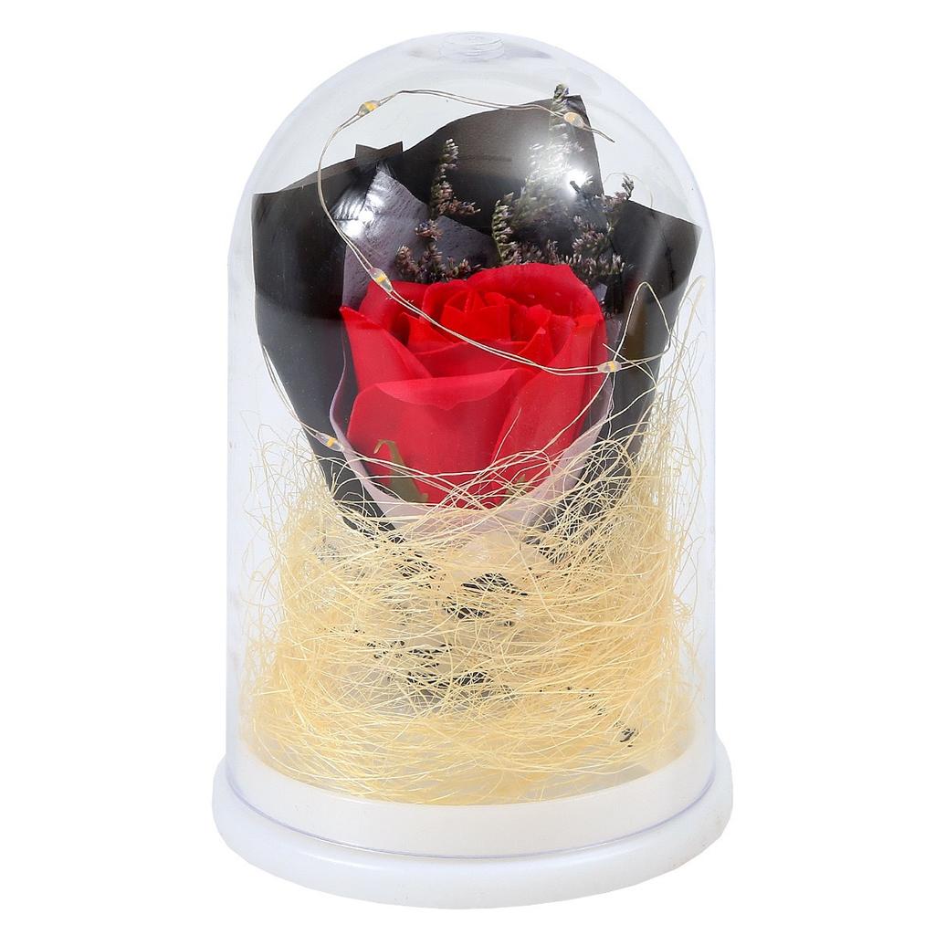 Led Glow Eternal Flower Glass Cover Birthday Gift Girl Mother's Day Valentine's Day Teacher's Day Simulation Rose