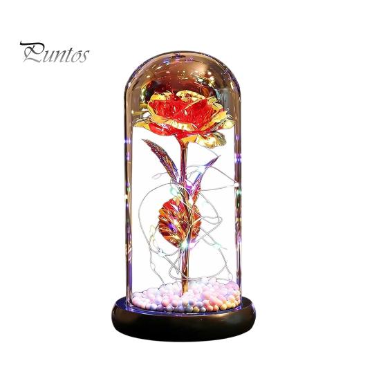 No Maintenance Flower Gift Rose Gifts for Her Mom Wife Grandma Light Up Eternal Lasting in A Dome Romantic Anniversary Birthday Valentine's