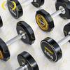 Zhongjing Fixed Dumbbell Set with Rack