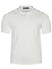 BYSEC Cotton Plain Muscle Fit Pk Collared Tee_2 Colors