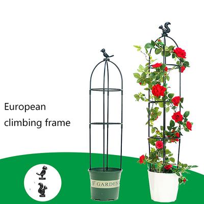 1 set di gabbie di supporto per piante rampicanti, tralicci da giardino, fiori, piante, telaio di supporto