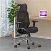 WANPUDUN Ergonomic Mesh Office Chair