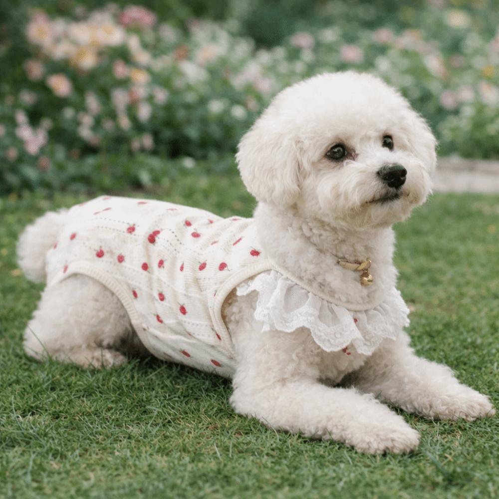 Bow Print Dog T-Shirt Breathable Summer Pet Vest Fashion Dog Pajamas  Spring Summer Season