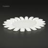 Puntos Nail Art 20 Colors Acrylic False Tip Practice Round Wheel Mould DIY Display Tool