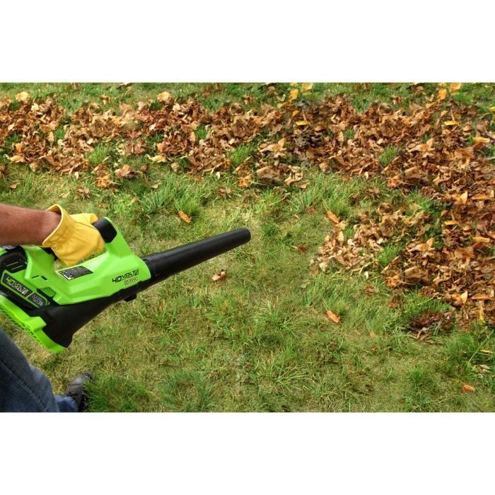 Souffleur axial greenworks g40ab 2400807ua - batterie 40v 2.0 ah et chargeur inclus
