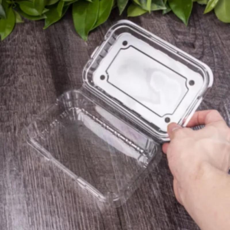 Disposable Rectangular Transparent Plastic Fruit Box with Lid