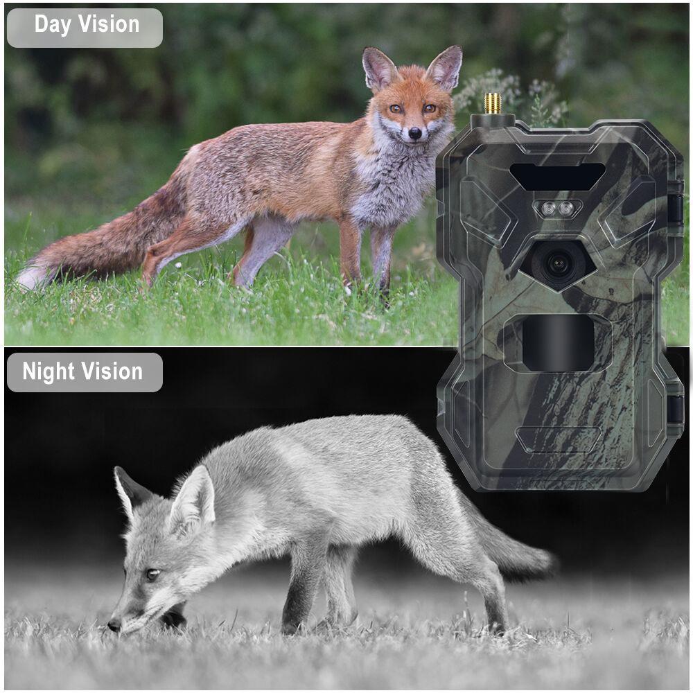 4g 30mp Hd 2k App Control Night Vision Trap Game 120 Degree Hunting Trail Cam Wireless Cellular Wildlife Camera Cam
