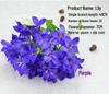 Fiori di Gigli Artificiali in Seta a Stelo Singolo per Decorazione Soggiorno o Tavola da Pranzo
