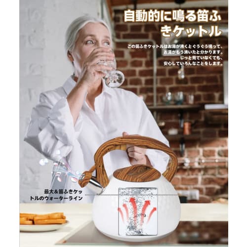 TeamSky Whistling Kettle, 2.8L Wide-Mouth, Large Capacity, 304 Stainless Steel, Non-Slip, Induction Compatible, Stylish, for Home Use, Kitchen Utensil