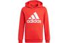 Kids Sweatshirts Hooded Moderate GN4037