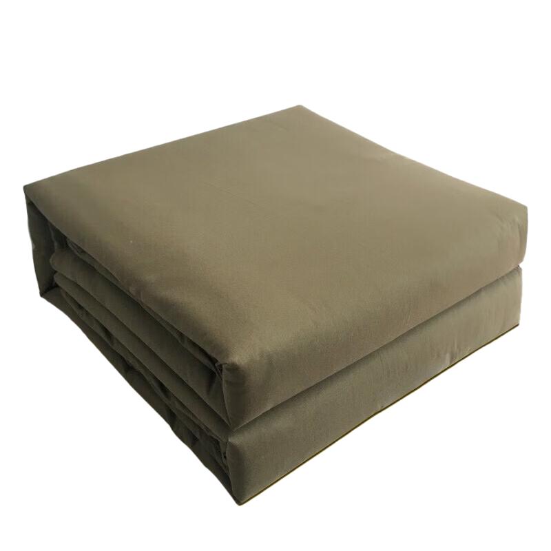 TieJiaWangGuo Hot-Melt Winter Quilt