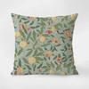 BIRD & POMEGRANATE Pillow Cover Lounge Chairs Decorative Pillowcase Short Plush Ornamental Pillows for Living Room Cushions Sofaz,(2)