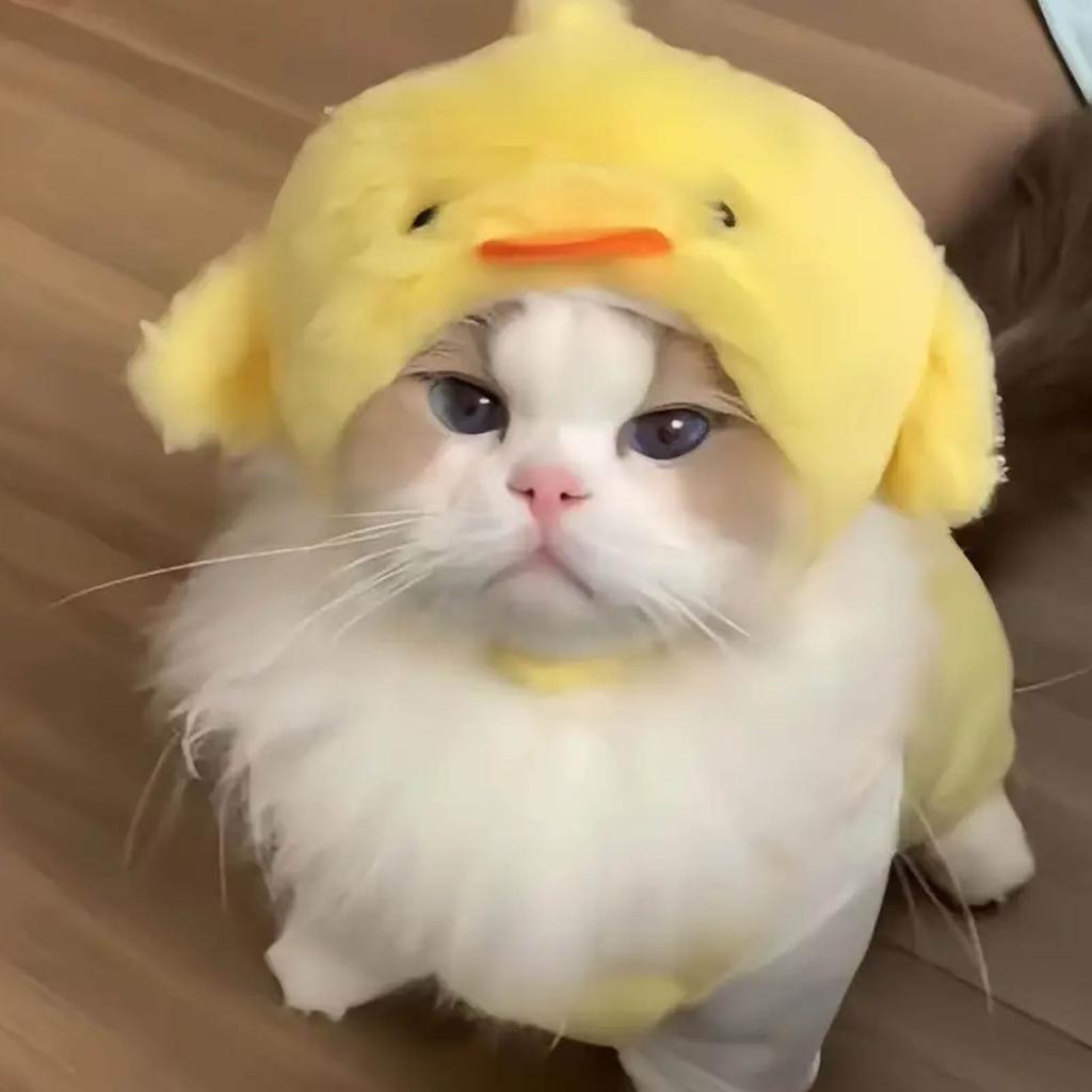 Cute Cat Costume Warm Hat Adorable Plush Pig/Chicken Shape Pet Hat Suitable for Small Dog Kitten Puppy