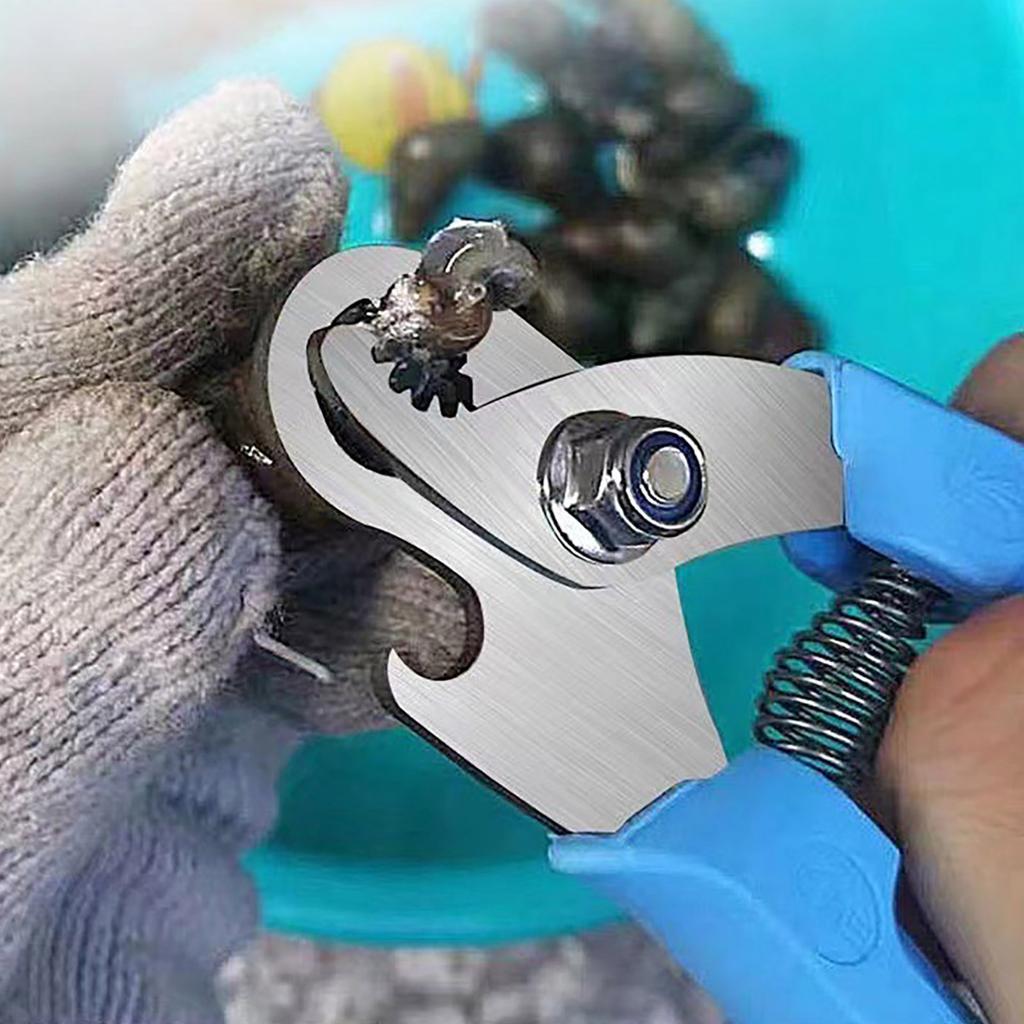 2Pcs Snail Scissors Escargot Tail Remover Snail Tail Cutting Tool Professional Cutting Pliers Seafood Shelling Tool